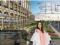 Commercial Shop in London Mart - in Greater Noida West (Noida Extension)